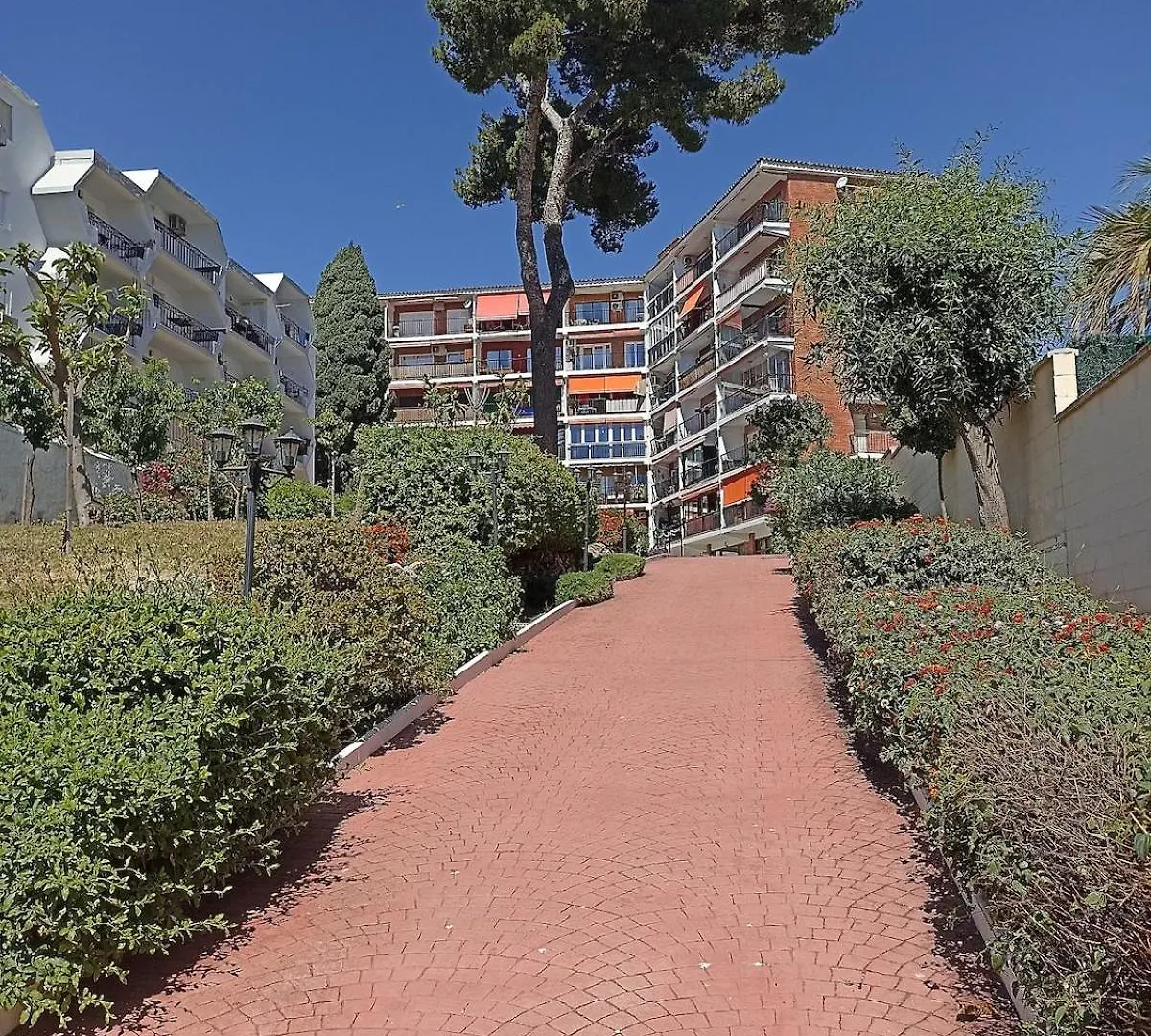 Centrico Apartamento Con Piscina Y Parking トレモリノス 0*,